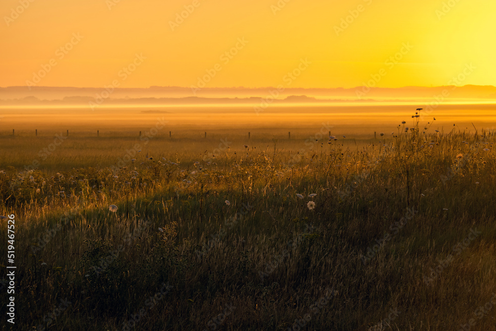 country meadow sunrise landscape background