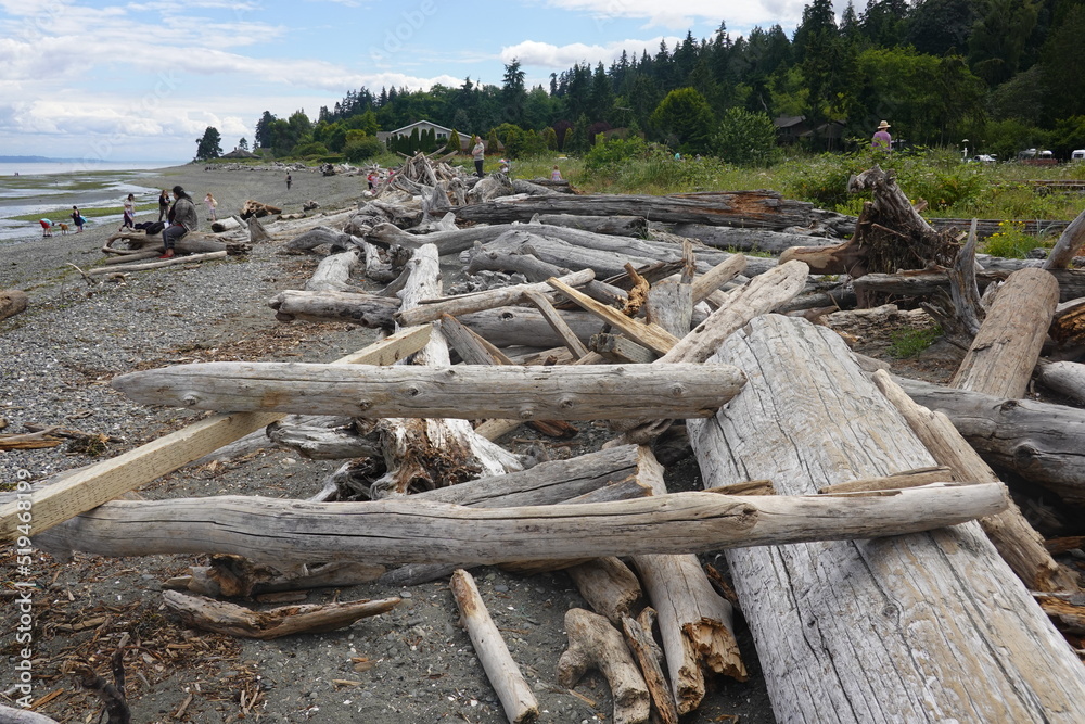 Fay Bainbridge Park - Bainbridge Island - WA Fay Bainbridge Park - Bainbridge Island - WA