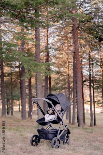 Baby child in stroller pram © Correne