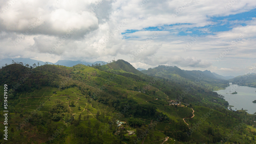 Aerial view of lake among the hills with tea plantations in the mountains. Maskeliya, Castlereigh, Sri Lanka. Aerial view of lake among the hills with tea plantations in the mountains. Maskeliya, Castlereigh, Sri Lanka.