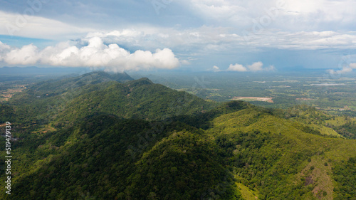 Mountains and green hills in Sri Lanka. Slopes of mountains with evergreen vegetation.