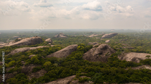 Aerial drone of green forest with tropical vegetation and rock formations. National Park.Sri Lanka.