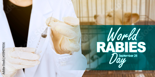 Εκτύπωση καμβά Female veterinarian hands with world rabies day text