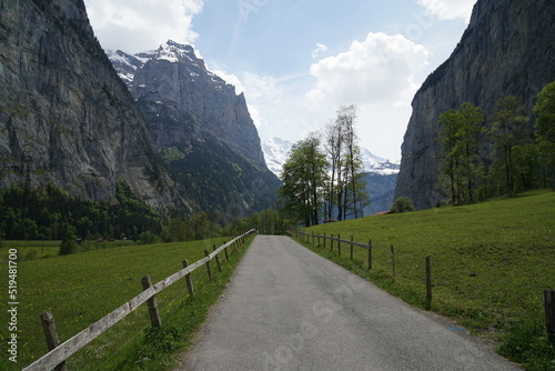 Trail leading into Swiss mountains.