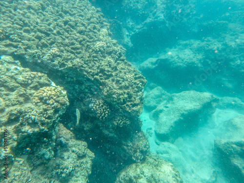 snokeling in kulailai bay oahu hawaii west coast