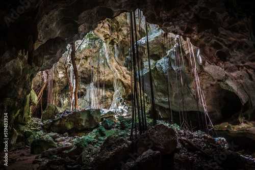 Φωτογραφία cave in the jungle dominicus republica dominicana