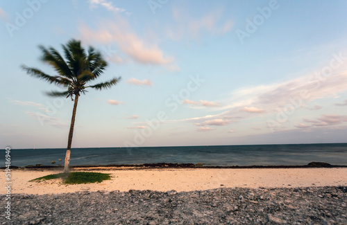 Tropical beach view in the evening