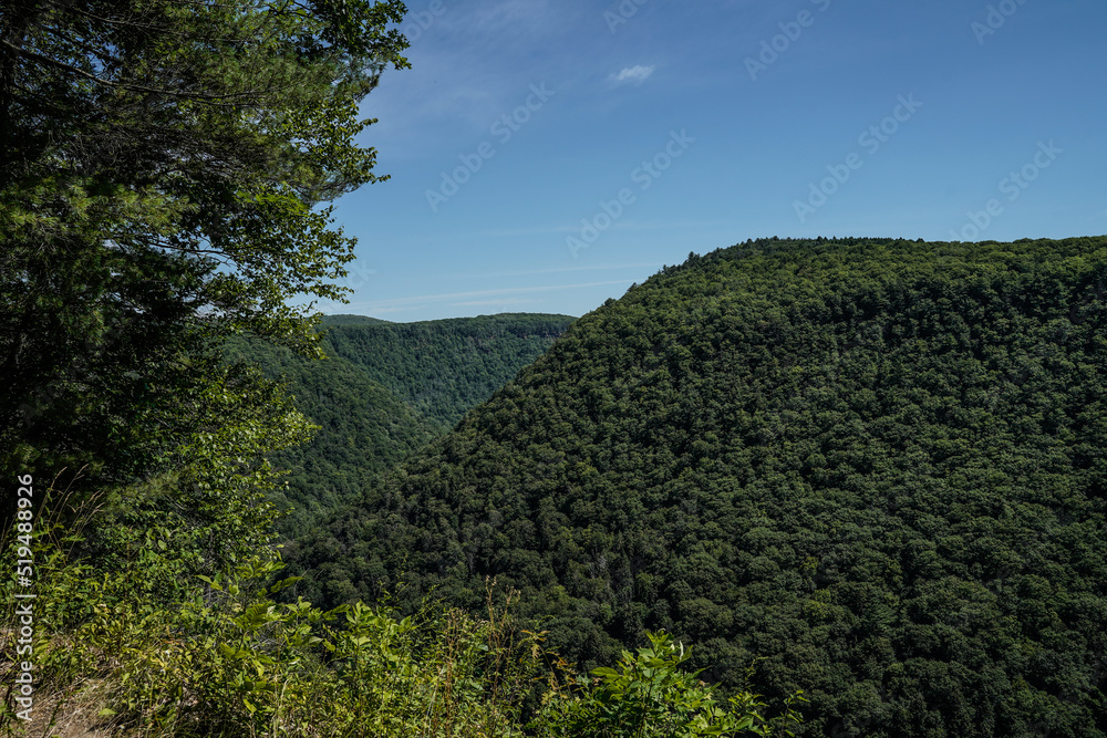 Obraz premium Scenic landscape view of the Pennsylvania Grand Canyon. Mountains in the summer. Lush green.