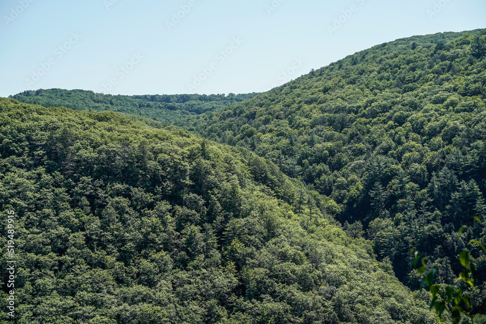 Scenic landscape view of the Pennsylvania Grand Canyon. Mountains in the summer. Lush green.