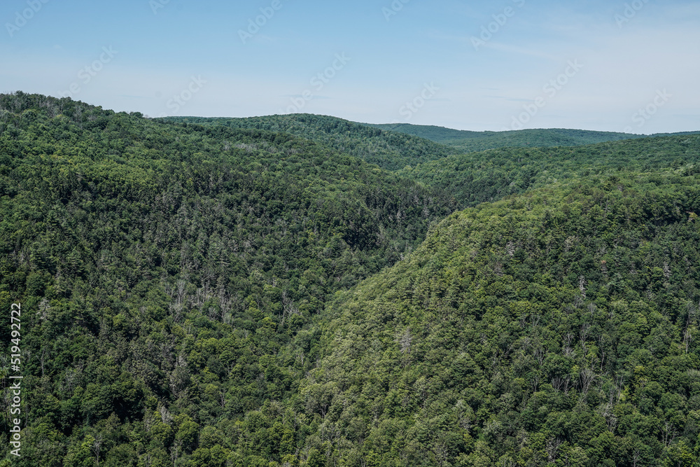 Scenic landscape view of the Pennsylvania Grand Canyon. Mountains in the summer. Lush green.