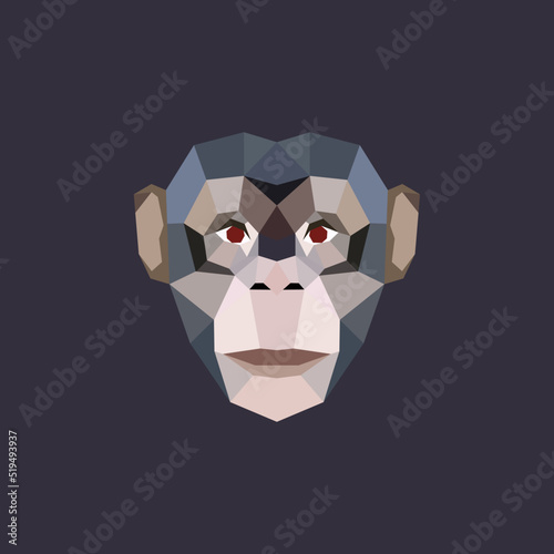 The Ape Polygon Illustration 