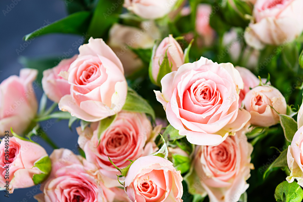 Bouquet of several branches of pink roses. Background of pink roses Bouquet of several branches of pink roses. Background of pink roses