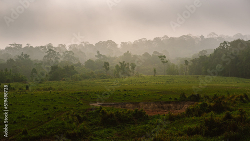 Rural landscape at sunrise. beautiful nature scenery with misty in morning light.