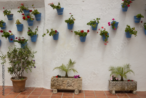 Patio andaluz de pared blanco con bonitas macetas photo