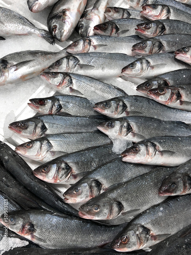 Many fresh sea bass on ice at showcase display fish market 