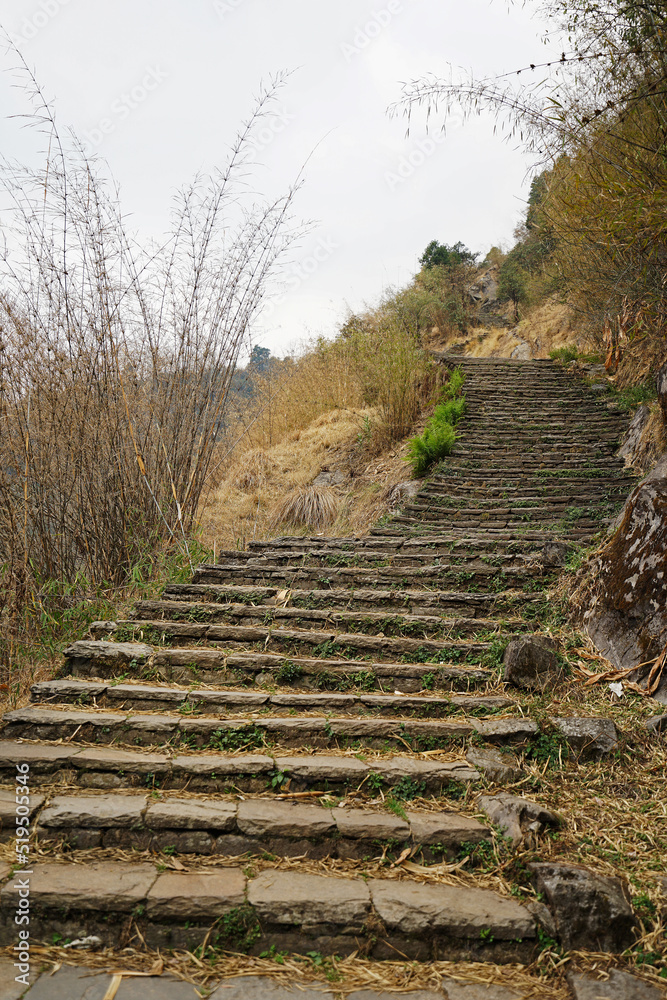 Trekking steps made of natural stones among green rainforest park with moss on both sides Trekking steps made of natural stones among green rainforest park with moss on both sides