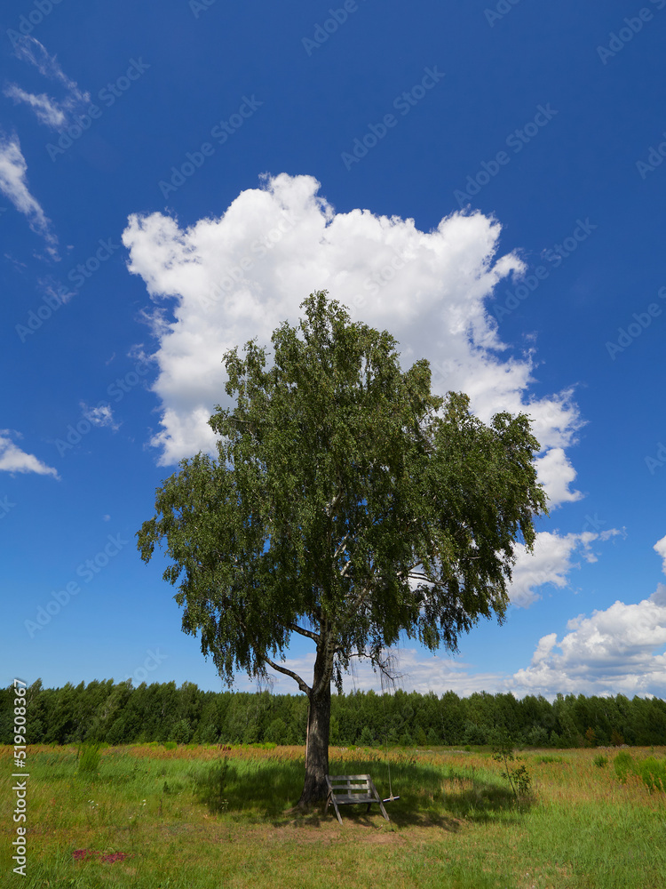 Obraz premium A green field, a tree and a blue sky. Excellent as a background, web banner