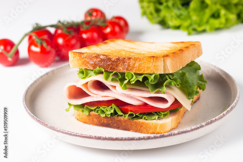 Close-up of two toasted sandwiches with fresh ham, cheese and vegetables on background. Club sandwich and take-away concept. Fast food. 