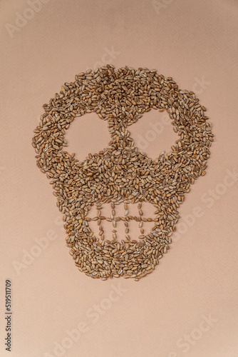 A skull made of wheat. Hunger. The food crisis. The global crisis. Consequences of the war. The problem with wheat from Ukraine .Vertical photo