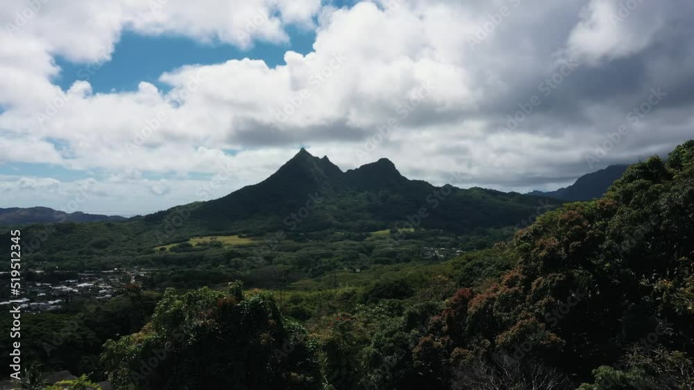 Aerial through trees opening beautiful scenery, mountain landscape of Hawaii