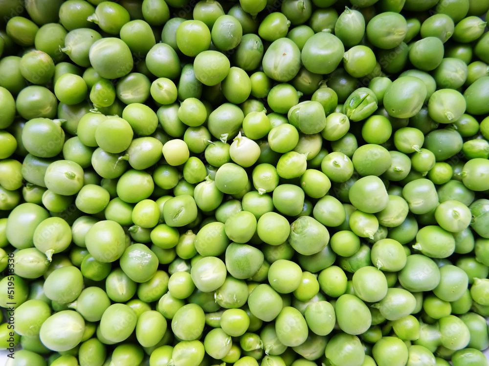 Harvested fresh green peas for cooking, background image Harvested fresh green peas for cooking, background image