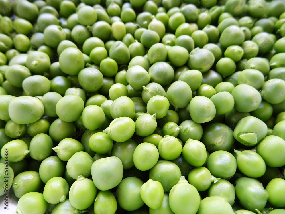 Harvested fresh green peas for cooking Harvested fresh green peas for cooking