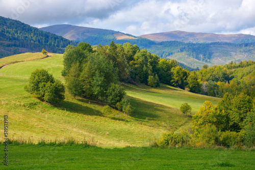 carpathian landscape in september. forested hills rolling in to the distant mountain ridge. warm sunny weather with fluffy clouds on the sky in autumn