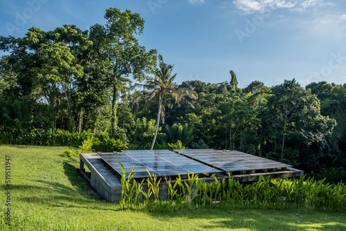 Solar panels amongst coconut trees in jungle on tropical island