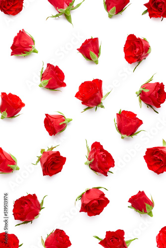 Red roses isolated on white background