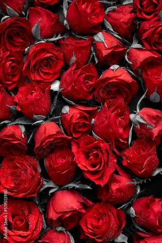 Dark red roses abstract flowers background
