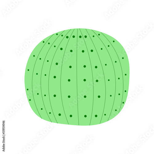 Round cactus with. vector illustration. mexican cactus desert plant