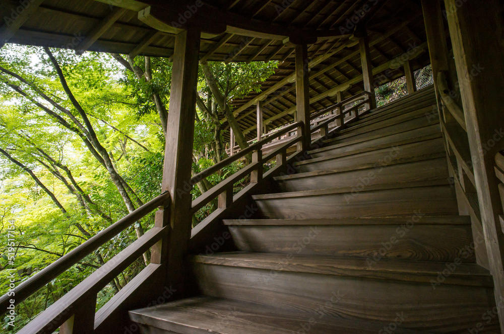 京都 永観堂の芸術的な螺旋階段と美しい新緑