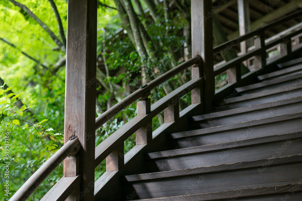 京都 永観堂の芸術的な螺旋階段と美しい新緑