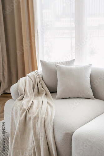 Pillows and blanket on soft couch in living room