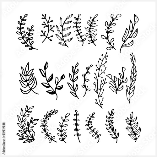 Branch with leaves icon isolated. Eco clip art. Vector stock illustration. EPS 10