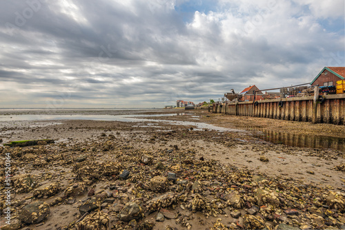 Old harbor of the Dutch fishing village Yerseke at low tide. Mussels and other shells are found on the dried up stones. The photo was taken on a cloudy day in the summer season. photo