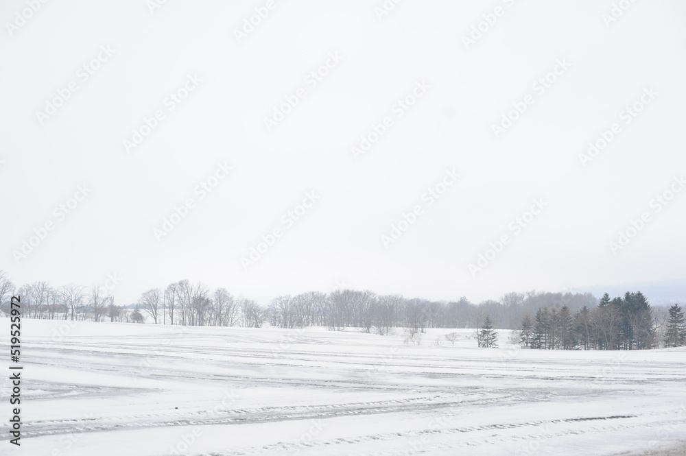 A snowy black and white and grey rural landscape with fields covered with snow in winter in Hokkaido, northern Japan, Asia