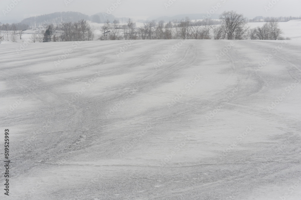 Fototapeta premium A snowy black and white and grey rural landscape with fields covered with snow in winter in Hokkaido, northern Japan, Asia