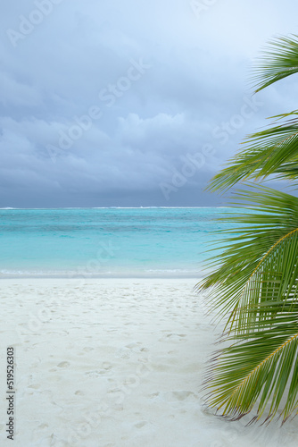 Fototapeta Naklejka Na Ścianę i Meble -  Palm trees on a tropical beach