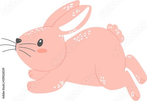 cute bunny rabbit pink flat design cartoon animal 