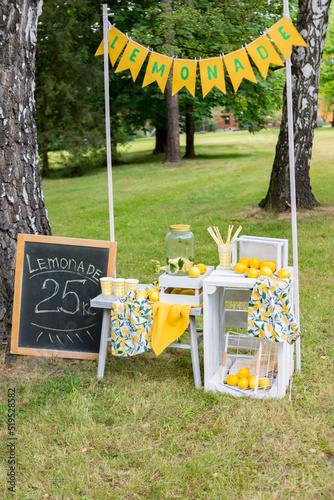 Lemonade stand in the park with lemons and mint. Cold homemade summer drink. Summer photo zone.