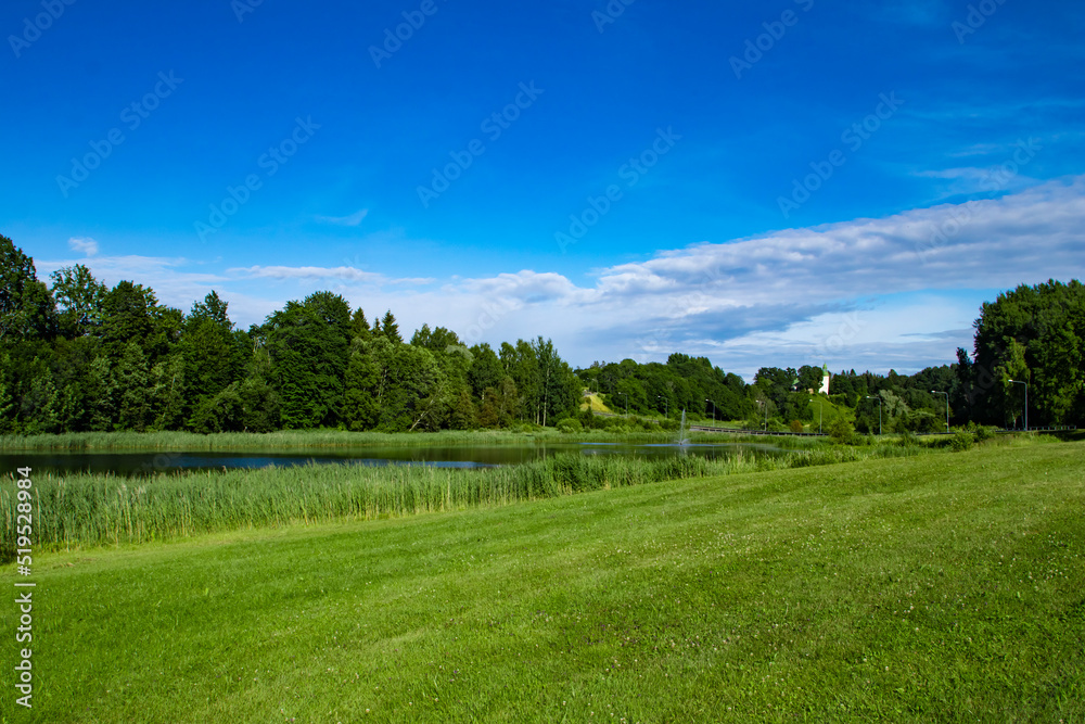 A beautiful summer landscape background with green grass, forest, river and copy space in the blue sky