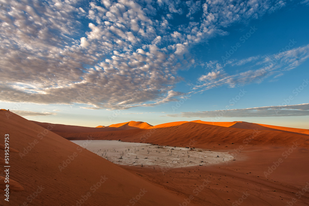 Dead trees with a beautiful cloudy sky in Dead Vlei in Sossusvlei, part of the Namib-Naukluft National Park - Namibia Dead trees with a beautiful cloudy sky in Dead Vlei in Sossusvlei, part of the Namib-Naukluft National Park - Namibia