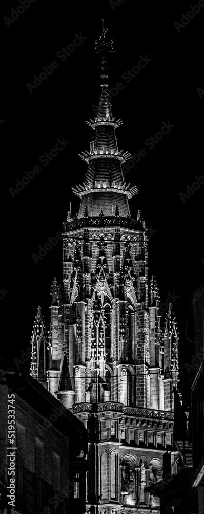 Vertical photography for mobile phones of Toledo Cathedral with night lighting full of details.