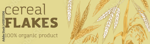 Cereal crops banner design. Organic grain food, flakes, ad horizontal backgro...