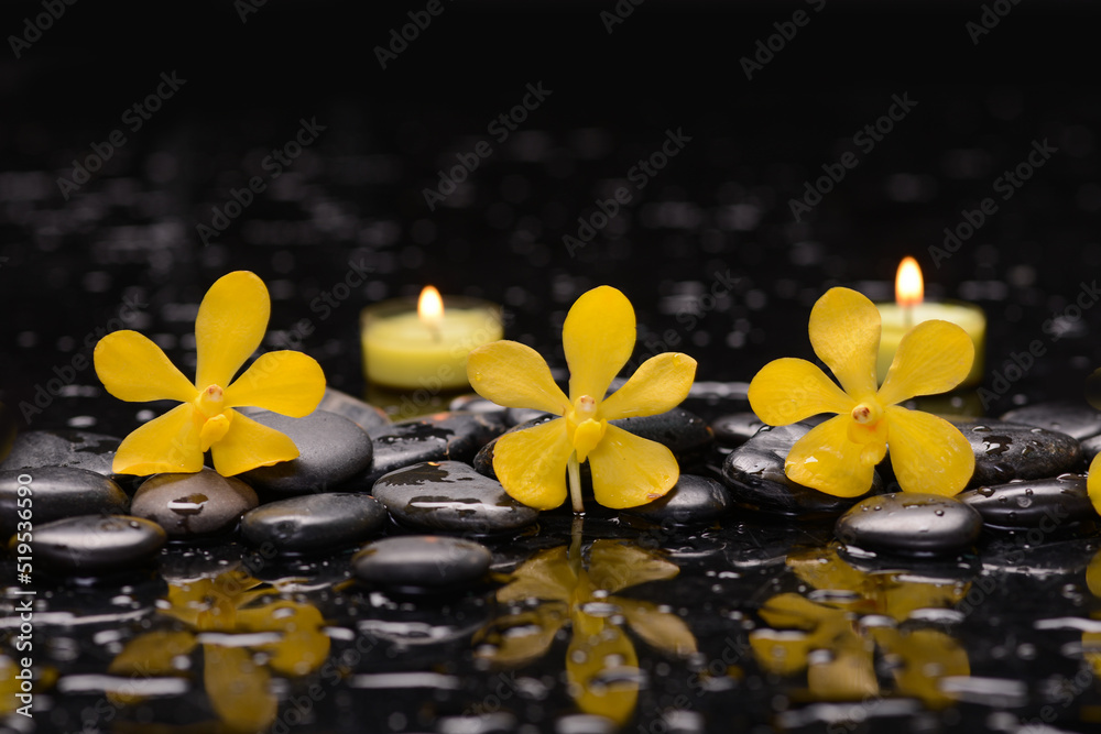 Still life of with 
Two yellow orchid  with zen black stones on wet background,
