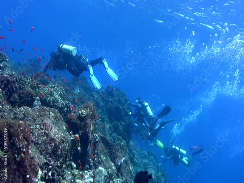 Wallpaper Mural Divers holding on with ripping current Torontodigital.ca
