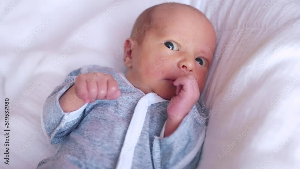 newborn baby boy. cute small newborn lies in a cocoon crib indoors close-up. happy family newborn kid dream lifestyle concept. little baby 1 month old lies looking at the camera newborn baby boy. cute small newborn lies in a cocoon crib indoors close-up. happy family newborn kid dream lifestyle concept. little baby 1 month old lies looking at the camera
