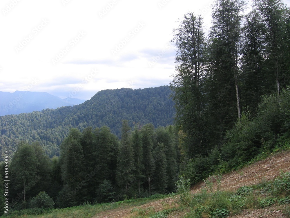 A panorama mountain landscape with valleys and forest mountain peaks under an overcast and cloudy sky A panorama mountain landscape with valleys and forest mountain peaks under an overcast and cloudy sky