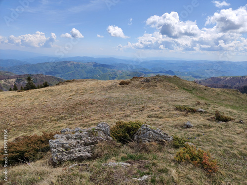 spring in the Kopaonik national park in Serbia